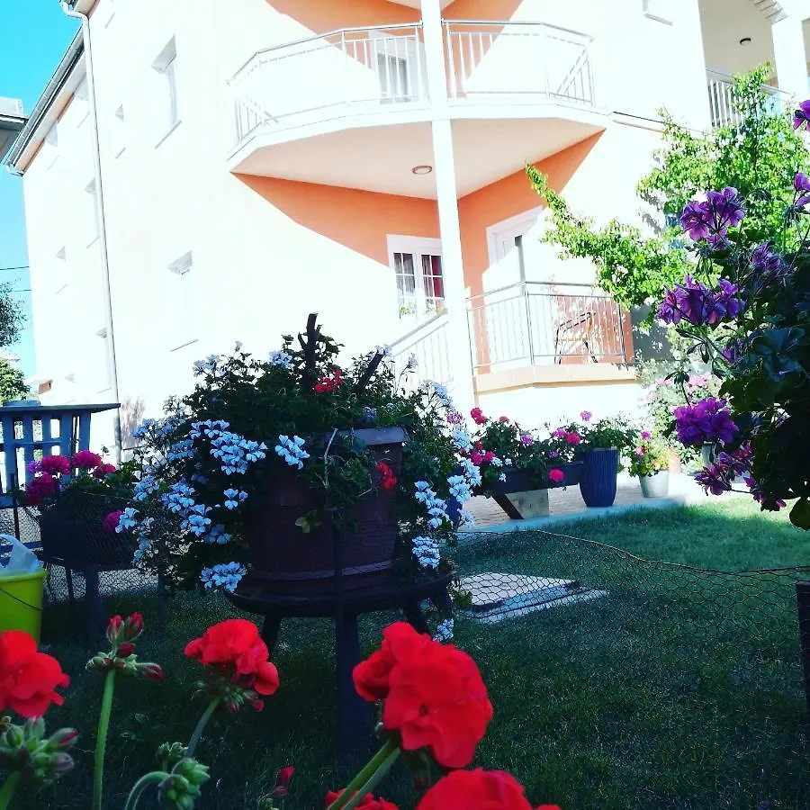 Rooms & Studio Apartmani Flower Bibinje Kroatien