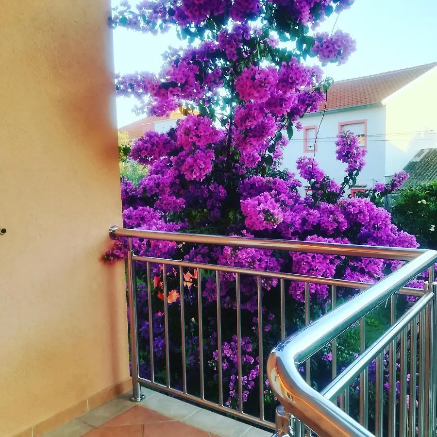 Rooms & Studio Apartmani Flower Bibinje