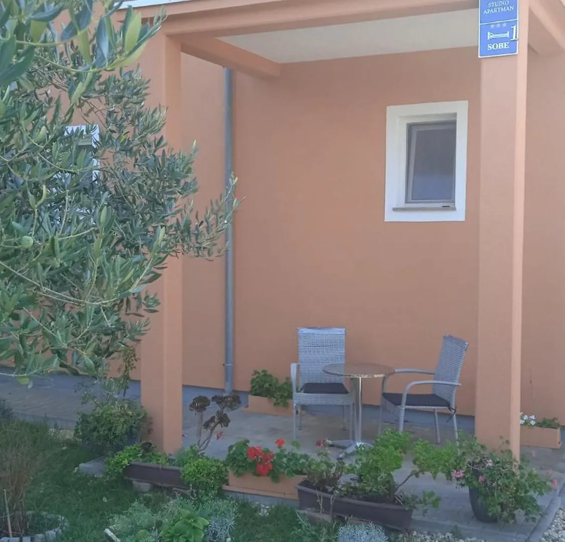 Rooms & Studio Apartmani Flower Bibinje